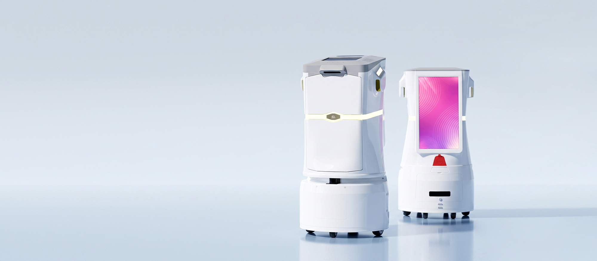 Dual-chamber delivery robot